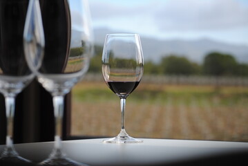 Copa de vino, cata de vinos
