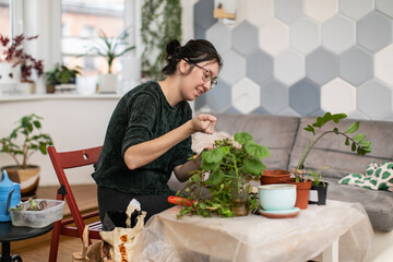 A young woman transplants indoor plants in the living room of an apartment