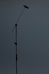 c stand with grey background on a photo studio