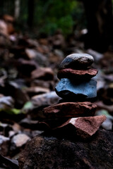 stones in the forest