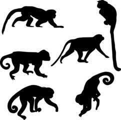 black and white dance monkey silhouette illustration
