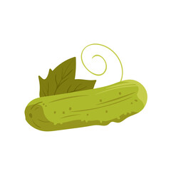 Ripe green cucumber with leaf from farm field vector illustration. Cartoon garden fresh organic vegetable to cook and eat, vitamin snack ingredient of salad isolated on white. Agriculture concept