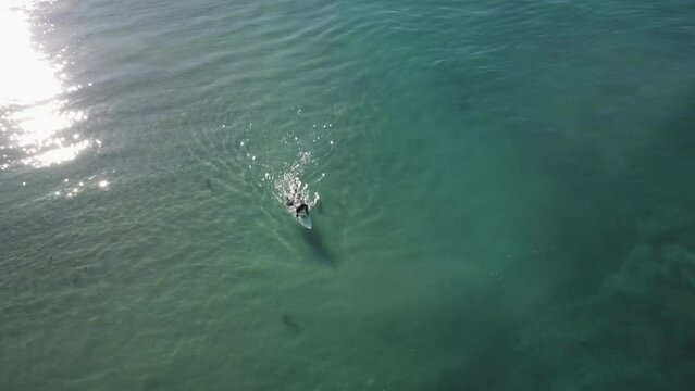 A beautiful aerial drone shot, drone tracking a surfer preparing for a wave in crystal clear teal water close to the beach, Carlsbad State Beach - California