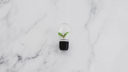 ideas for sustainability, lightbulb with perfect green V-shaped leaves growing inside of it