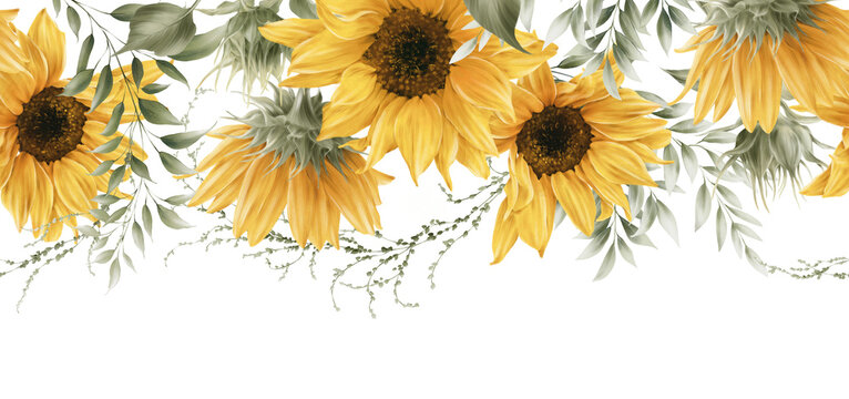 Sunflowers, Floral border with sunflowers ang foliage, can be used as invitation card for wedding, birthday and other holiday and  summer background. Botanical art. Watercolor