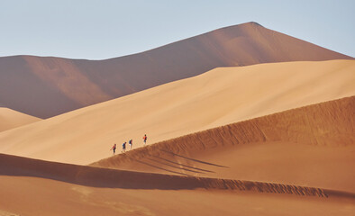 Fototapeta na wymiar Horizon is far away. Majestic view of amazing landscapes in African desert