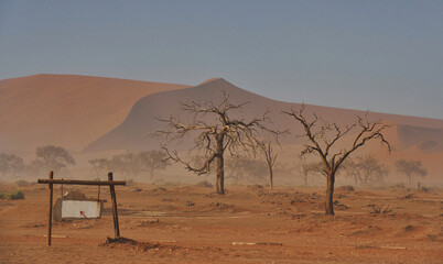 Trees that are dead is in the sand. Majestic view of amazing landscapes in African desert