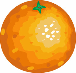 sunny orange on a white background