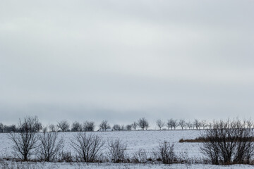 Natural sunset sunrise over field or meadow. The color of the sky over the winter snowy ground. Landscape under a picturesque sky at sunset. Dawn of the sun.