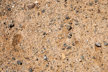 sand and small stones texture background - Powered by Adobe
