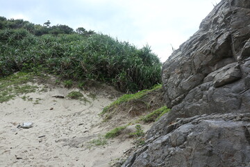 海岸、海、島、磯