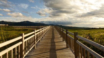 Fototapeta premium wooden bridge over lake