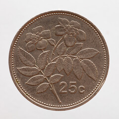 Malta - circa 1995: a 25 cent coin from Malta showing a branch of an evergreen rose in bloom