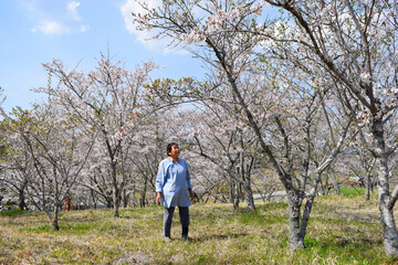 桜を眺める70代の女性