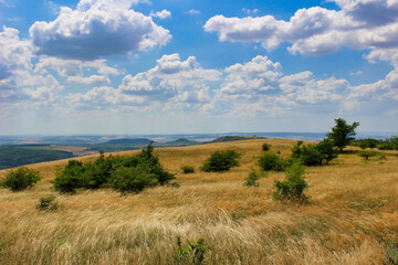 Landscape view from hill with yellow grass in summer. CZ. Pálava