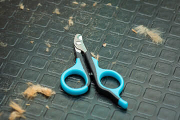 claw cutter for animals on the table in the grooming salon, close-up