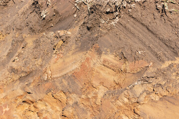 Soil on the ground as texture and background.