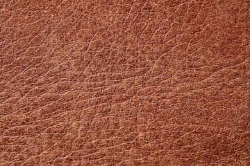 Fototapeta premium leather grunge background: a piece of light brown leather, with scuffs, spots, scars