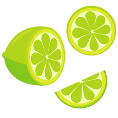 Vector drawing lime. Illustration of a citrus fruit on a white background.