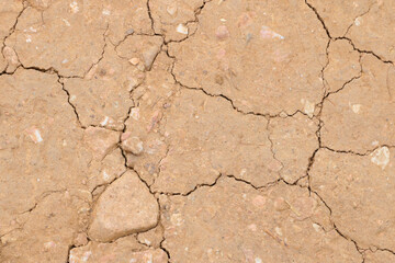 Texture of cracked earth, background. Soil texture.