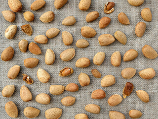 Texture of ripe unshelled almond nuts on burlap fabric
