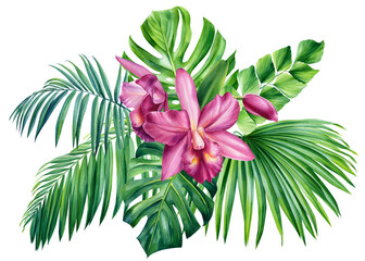 Fototapeta na wymiar Tropical palm leaves and orchid flowers. Watercolor illustration, paradise garden
