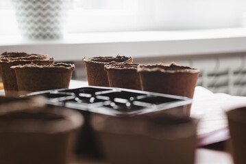 Eco-friendly pots and plastic seed planting mold