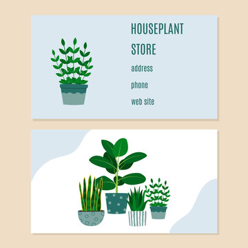 Houseplant Store Bisiness Card. Florarium, Home Garden, Greenhouse, Gardening, Potted Plant Concept