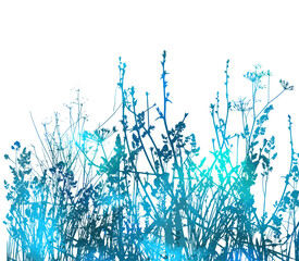 Blue grass watercolor. Vector illustration