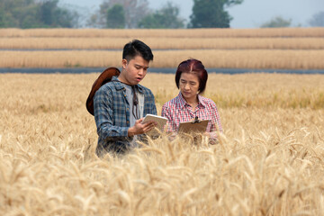 Agronomist and farmer checking data in a wheat field with a tablet and examnination crop.