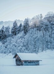 house in the snow