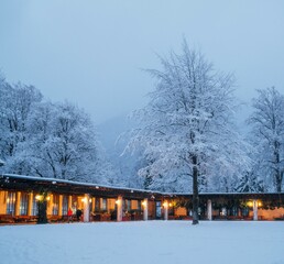 winter in the park