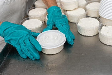 a woman's hands packaging a fresh cheese