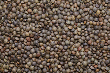 green lentils close up background