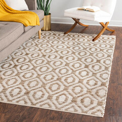 Modern living area floor rug interior room jute rug texture design.
