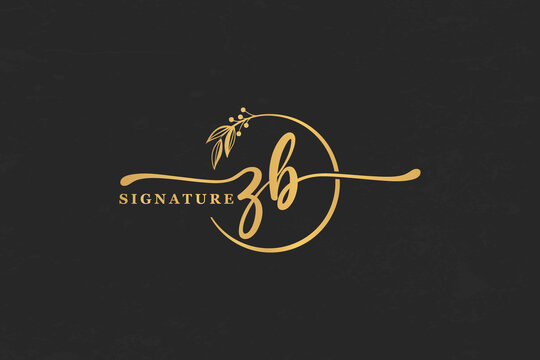 golden signature initial letter zb. golden signature Handwriting vector logo design illustration image