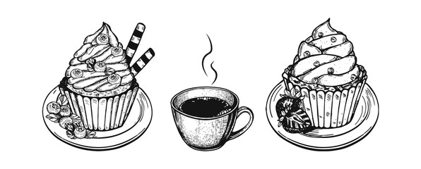 cupcakes vector doodles. strawberry cupcake and blueberry cupcake on plates vector sketch. dessert menu doodles. coffee vector drawing hand