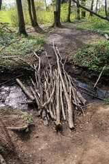 Small makeshift wood bridge over a forest water stream. Made out tree branches, daytime, no people
