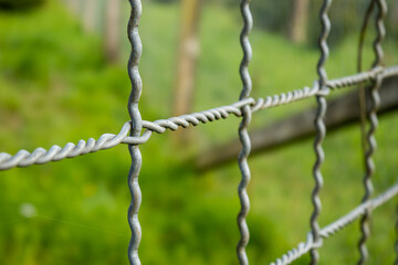 Woven metal wire mash grid fence outdoor. Close up shot, green background, no people