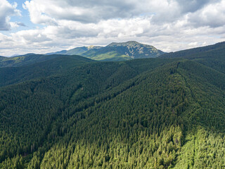 Obraz premium High mountains of the Ukrainian Carpathians in sunny weather. Aerial drone view.