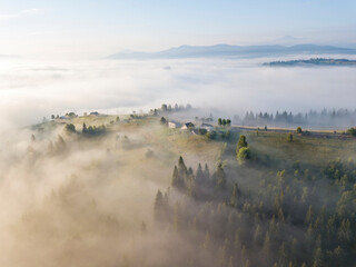 Fog envelops the mountain forest. The rays of the rising sun break through the fog. Aerial drone view.