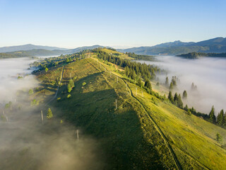 Morning fog in the Ukrainian Carpathians. Aerial drone view.
