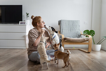 Woman plays with dogs and gives them dog biscuit .Moment of training dog. Teaching commands. Concept of raising domestic dog.