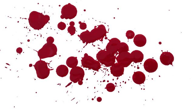 Blood drop splatter fills the frame with red.
Drops of blood land on a white background eventually filling it up.