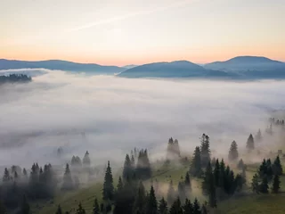 Fototapete Wald im Nebel Morning fog in the Ukrainian Carpathians. Aerial drone view.