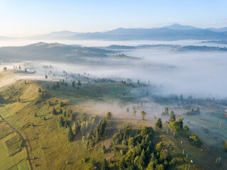 Green mountains of the Ukrainian Carpathians in the morning mist. Aerial drone view.