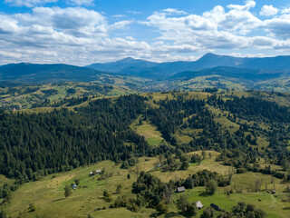 Naklejka premium Green mountains of Ukrainian Carpathians in summer. Coniferous trees on the slopes. Aerial drone view.