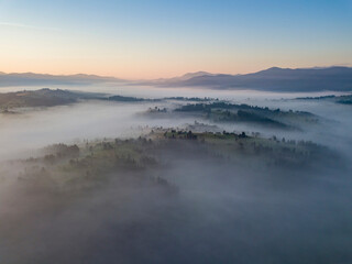 Obraz premium Flight over fog in Ukrainian Carpathians in summer. Mountains on the horizon. Aerial drone view.