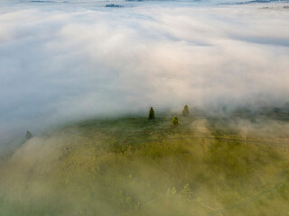 Green mountains of the Ukrainian Carpathians in the morning mist. Aerial drone view.