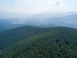 Naklejka premium Green mountains of Ukrainian Carpathians in summer. Sunny day, rare clouds. Aerial drone view.